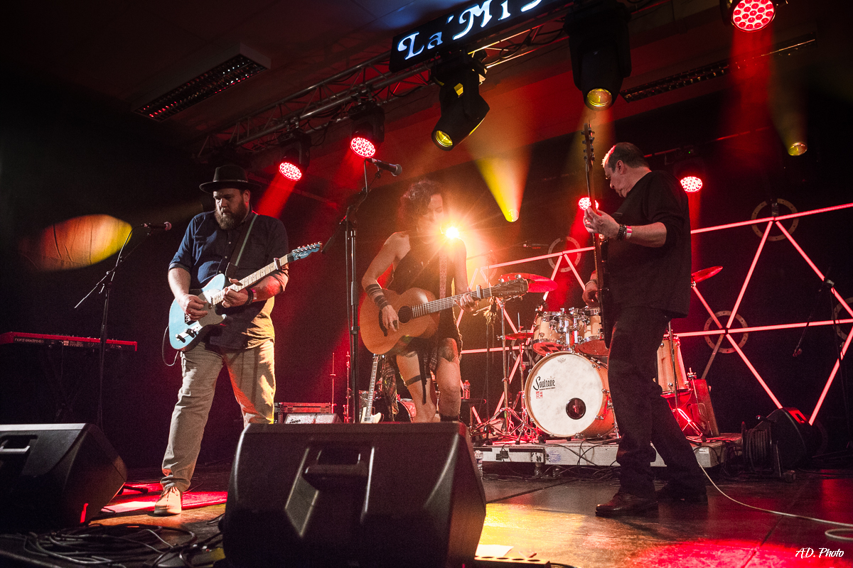 The One Armed Man en concert